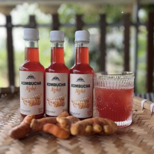 Trà Kombucha