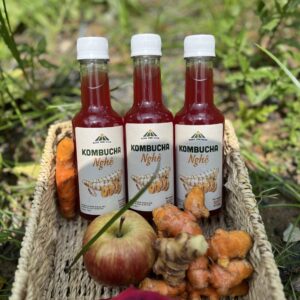 Alternative view of (Combo 14 chai) Trà Kombucha Nghệ