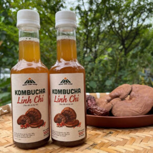 (Combo 3 chai) Trà Kombucha Linh Chi chai 300ml
