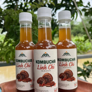 Alternative view of (Combo 3 chai) Trà Kombucha Linh Chi chai 300ml