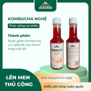(Combo 10 chai) Trà Kombucha Nghệ