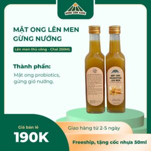 Mật Ong Probiotics Lên Men Gừng Nướng (Can Khương)
