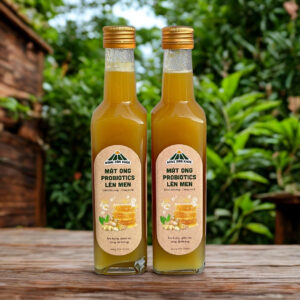 Alternative view of Mật Ong Probiotics Lên Men Gừng Tươi (Sinh Khương)