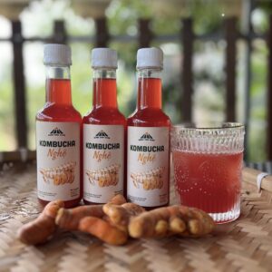 Alternative view of (Combo 10 chai) Trà Kombucha Nghệ